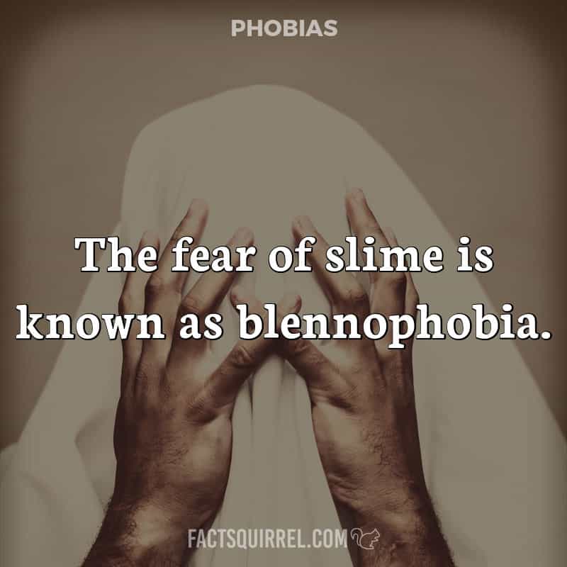 The fear of slime is known as blennophobia