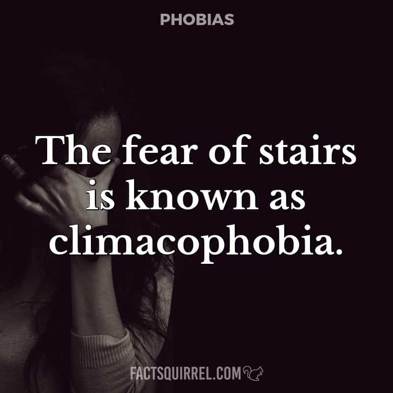 The fear of stairs is known as climacophobia