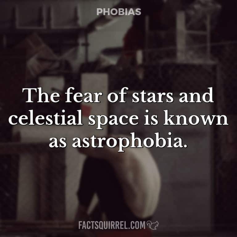 The fear of jumping from high and low places is known as catapedaphobia