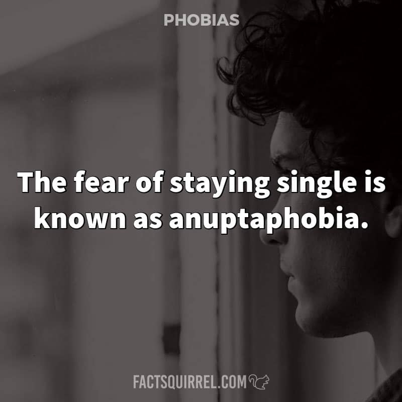 The fear of staying single is known as anuptaphobia