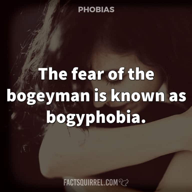 The fear of computers or working on a computer is known as cyberphobia