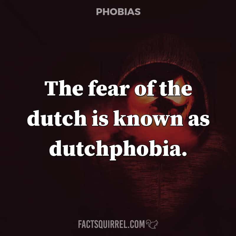 The fear of the dutch is known as dutchphobia