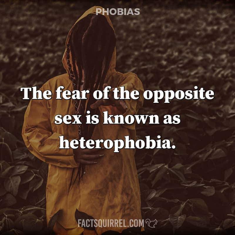 The fear of the opposite sex is known as heterophobia