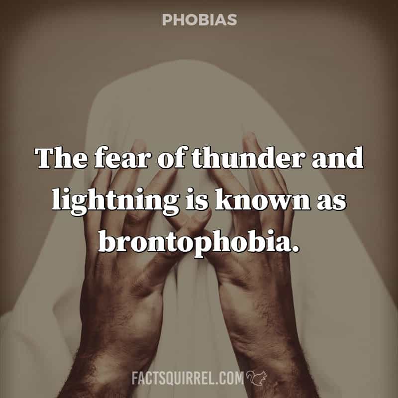 The fear of thunder and lightning is known as brontophobia