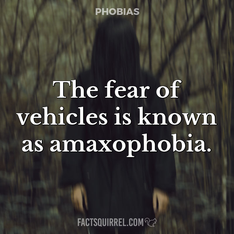 The fear of vehicles is known as amaxophobia