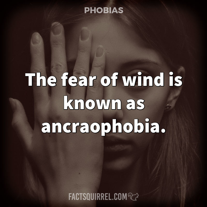 The fear of wind is known as ancraophobia