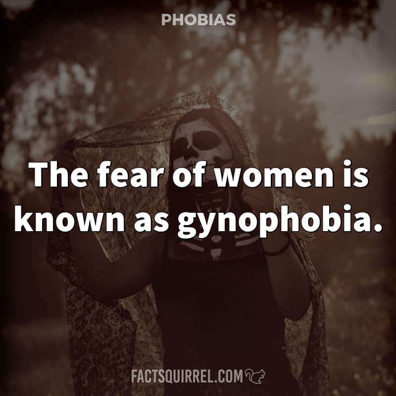 The fear of women is known as gynophobia