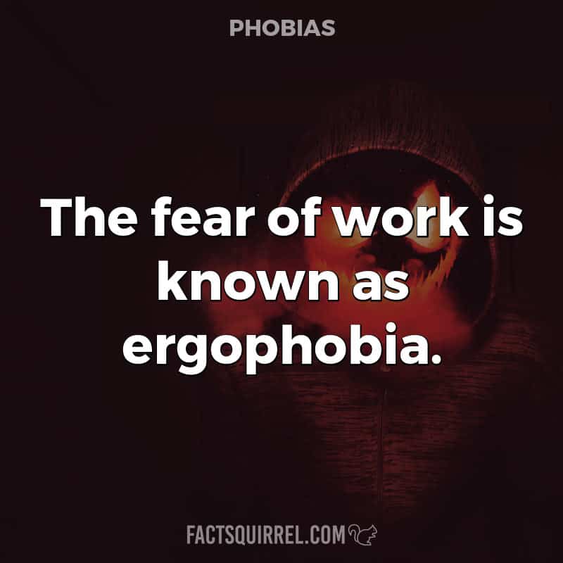 The fear of work is known as ergophobia