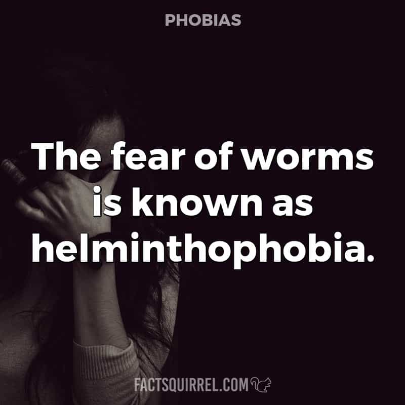 The fear of worms is known as helminthophobia