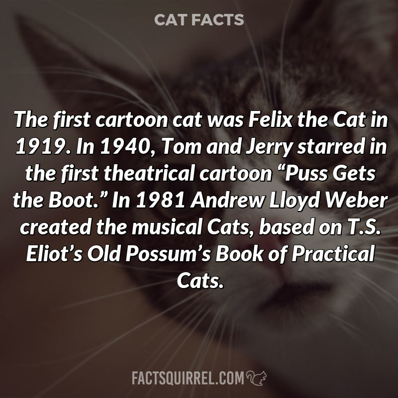The first cartoon cat was Felix the Cat in 1919. In 1940, Tom and Jerry