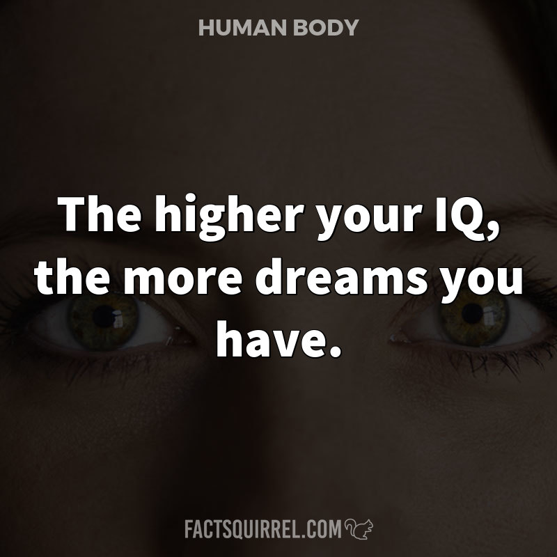 The higher your IQ, the more dreams you have