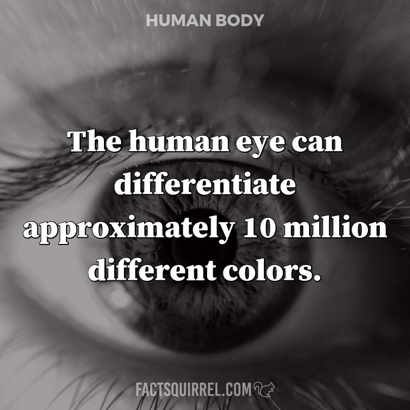The human eye can differentiate approximately 10 million different