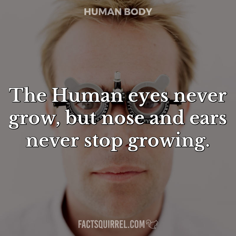 The Human eyes never grow, but nose and ears never stop growing