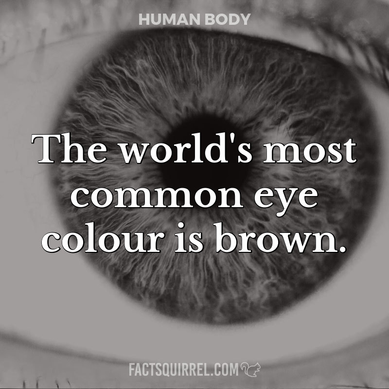 The world’s most common eye colour is brown