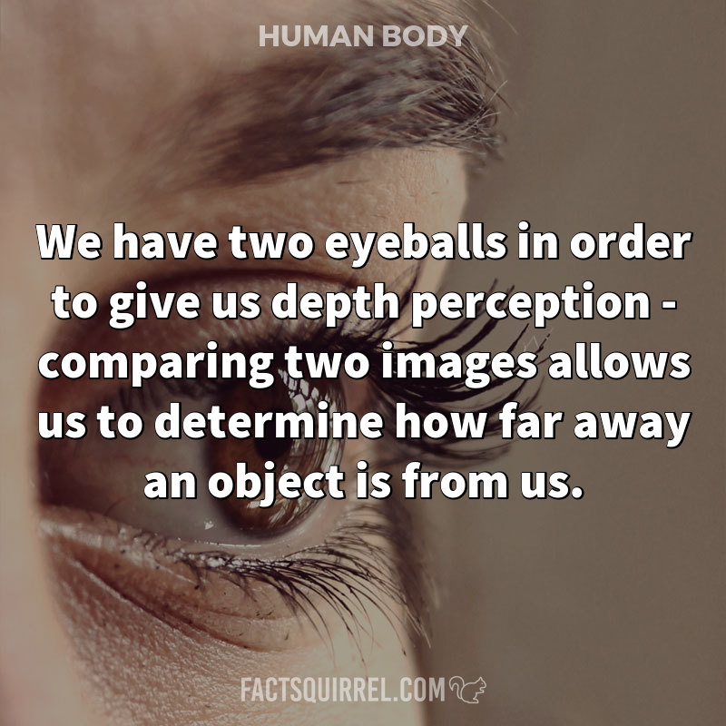 We have two eyeballs in order to give us depth perception – comparing