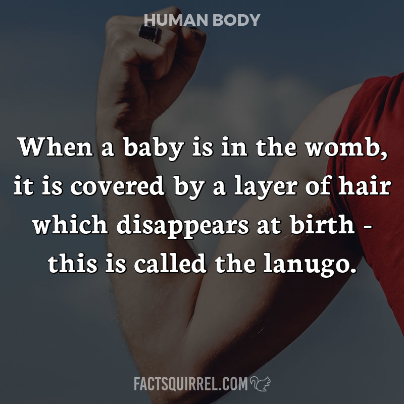 When a baby is in the womb, it is covered by a layer of hair which