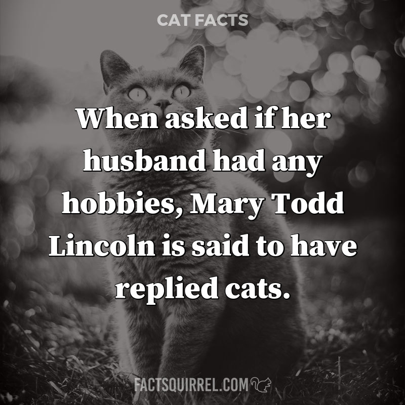 When asked if her husband had any hobbies, Mary Todd Lincoln is said to
