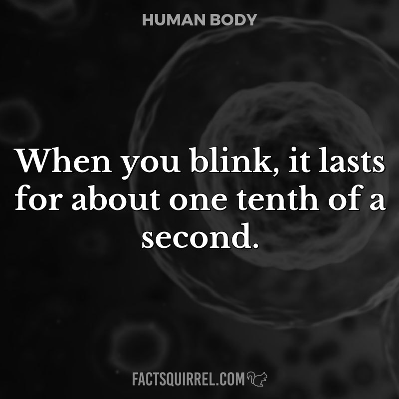 When you blink, it lasts for about one tenth of a second