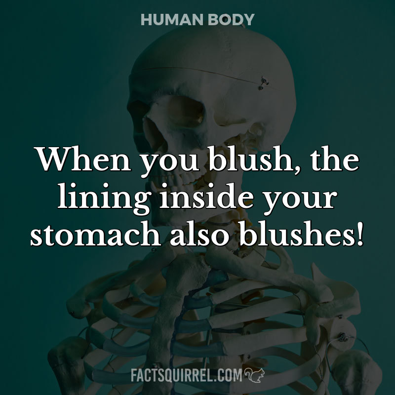 When you blush, the lining inside your stomach also blushes!