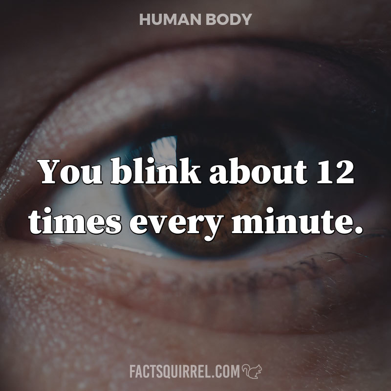 You blink about 12 times every minute