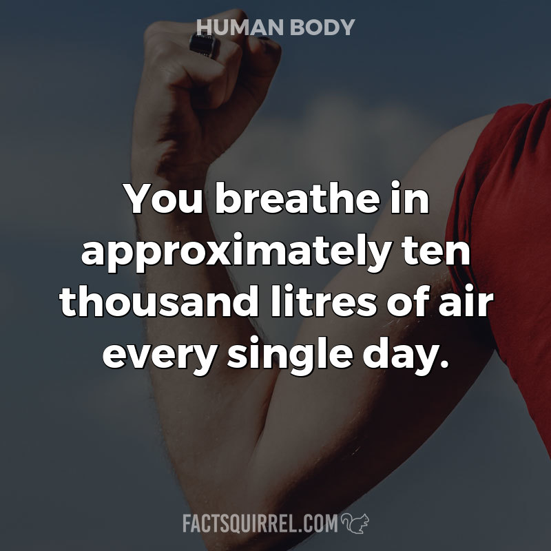 You breathe in approximately ten thousand litres of air every single day