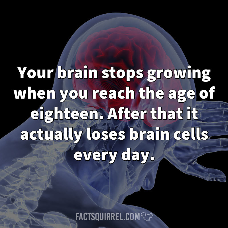 Your brain stops growing when you reach the age of eighteen. After that