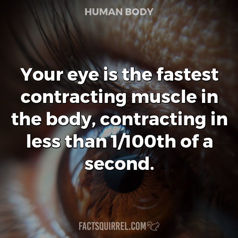 Your eye is the fastest contracting muscle in the body, contracting in