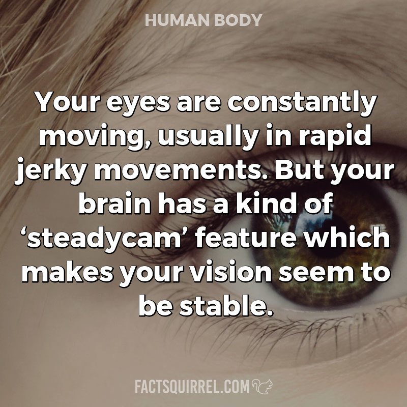 Your eyes are constantly moving, usually in rapid jerky movements. But your brain has a kind of ‘steadycam’ feature which makes your vision seem to be stable.