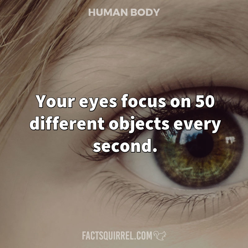 Your eyes focus on 50 different objects every second.