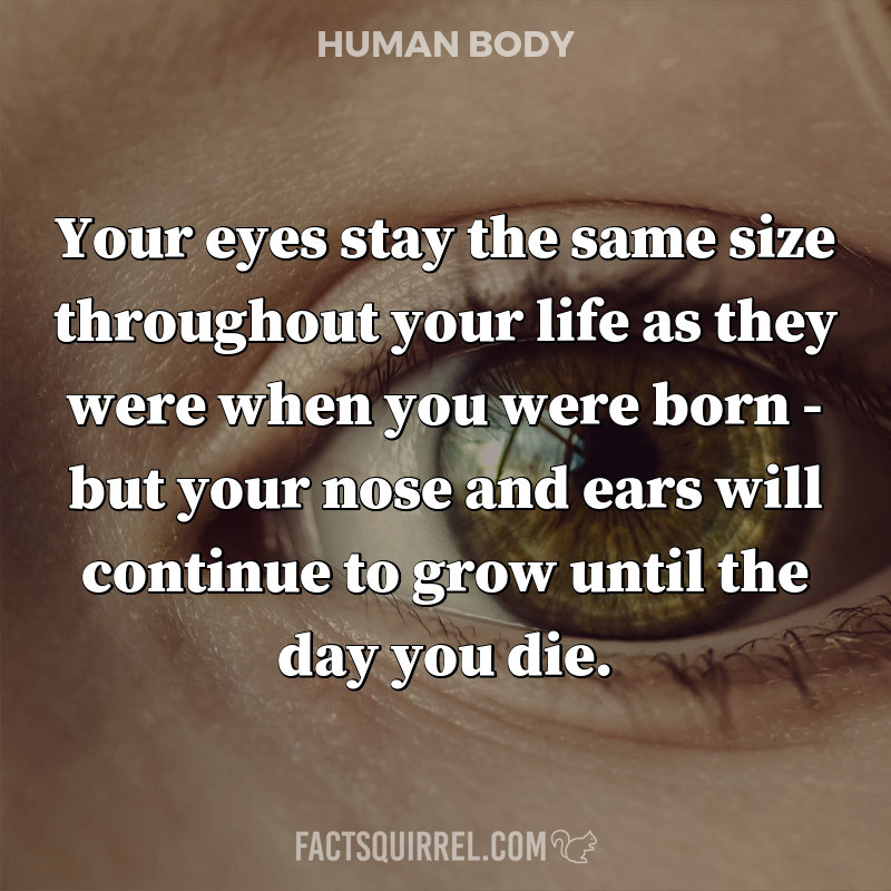 Your eyes stay the same size throughout your life as they were when you were born - but your nose and ears will continue to grow until the day you die.