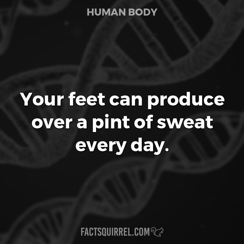 Your feet can produce over a pint of sweat every day