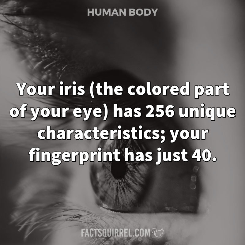 Your iris (the colored part of your eye) has 256 unique characteristics; your fingerprint has just 40.