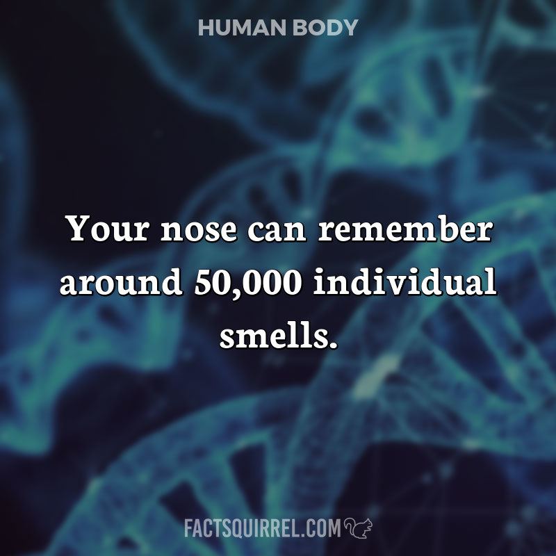 Your nose can remember around 50,000 individual smells