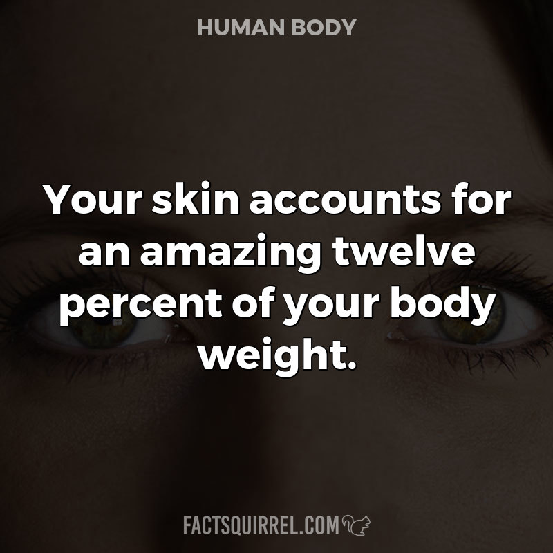 Your skin accounts for an amazing twelve percent of your body weight